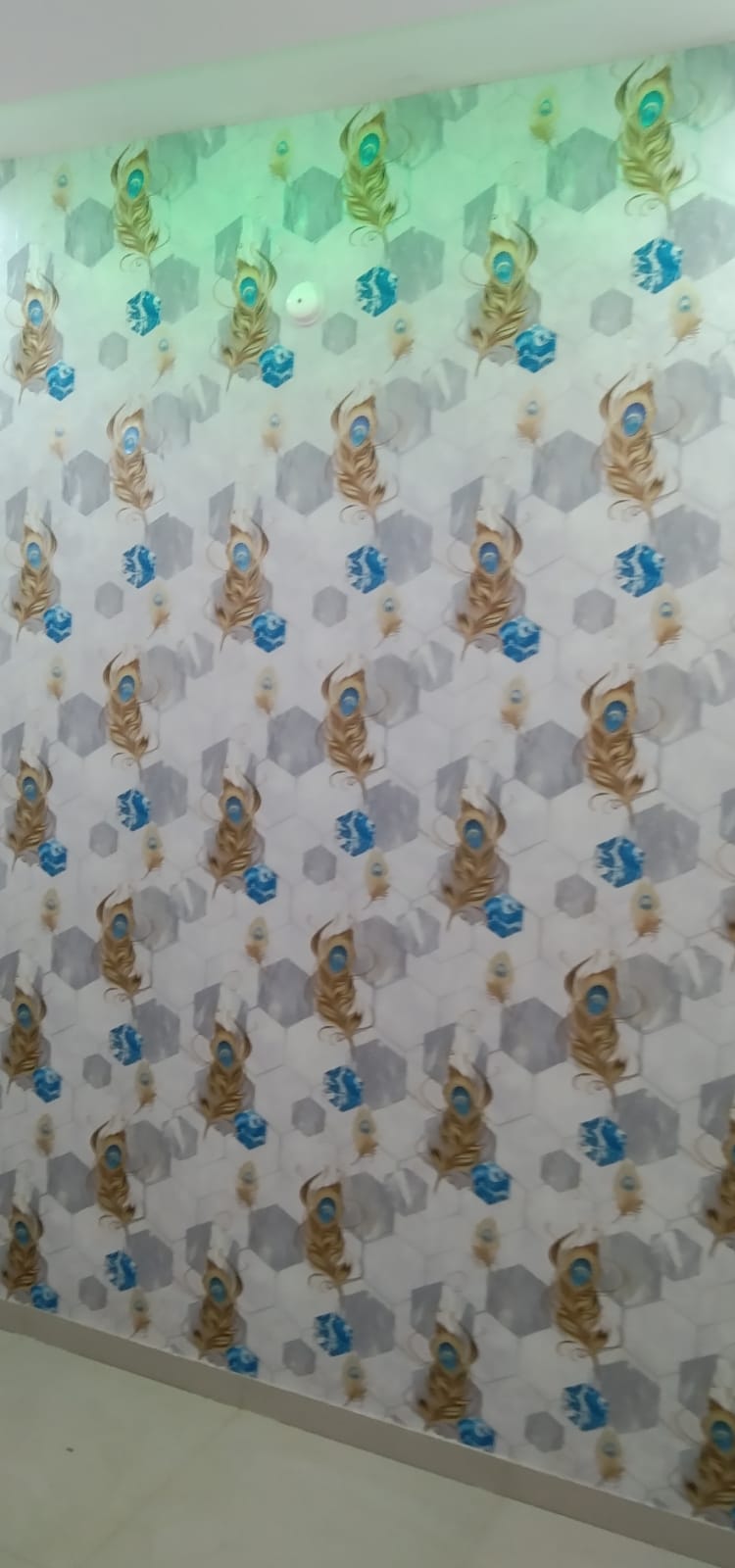 Gallery Image 8